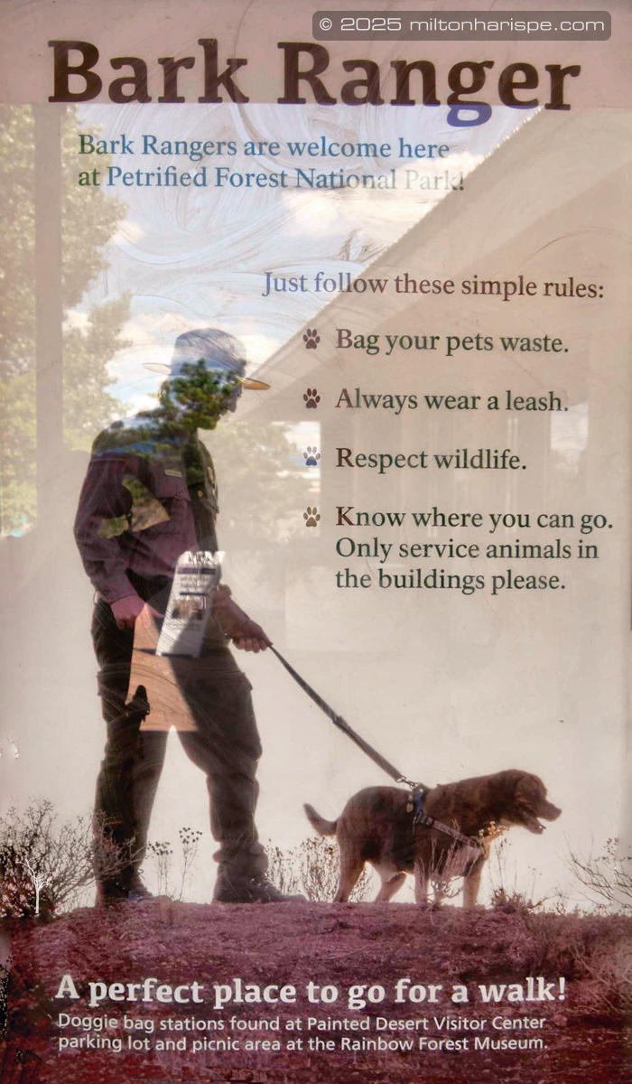 010 DSC 2213 Edit Edit